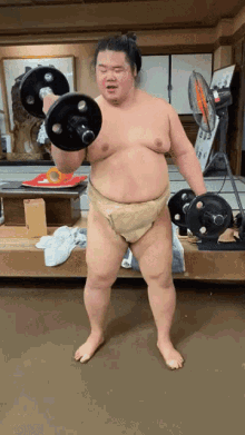 Meisei Sumo GIF - Meisei Sumo Weight Lifting GIFs