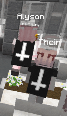 a screenshot of a minecraft game with the name alyson on it