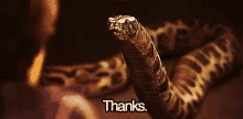 Thanks Snake GIF - Thanks Snake Harry Potter GIFs