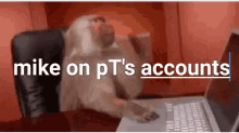 accounts work monkey laptop