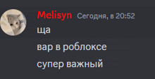a screenshot of a chat with a cat and the name melisyn