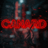 Canard GIF - Canard GIFs