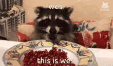Wes This Is Wes GIF - Wes This Is Wes Me GIFs