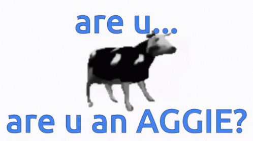 aggie-cow.gif