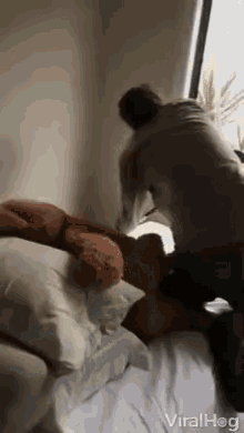 Wild Snake Lost Snake GIF - Wild Snake Lost Snake Constrictor GIFs
