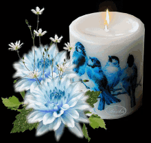 candles flowers birds sparkle