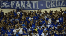 Fanaticruz Cruzeiro GIF - Fanaticruz Cruzeiro Cecemvideos GIFs