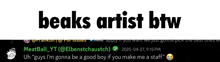 a screenshot of a conversation between meatball and beaks artist btw