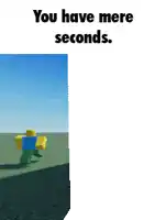 a picture of a roblox character says you have mere seconds .