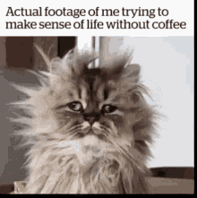 Good Morning Need Coffee GIF - Good Morning Need Coffee Wake Up GIFs