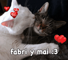 Te Amo Fabri Fabri Lindo GIF - Te Amo Fabri Fabri Lindo Mai Y Fabri GIFs