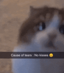 Cause Of GIF - Cause Of Tears GIFs