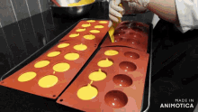 a person is pouring yellow liquid into a red tray that says made in animonica