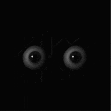 a pair of eyes on a black background with a maze in the background .