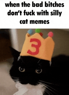 a black and white cat wearing a crown with the number 3 on it