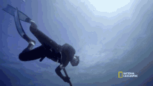 Free Dive Spearfishing Under Solid Ice GIF - Speardiving Cold