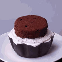 a chocolate cupcake with whipped cream on top of it