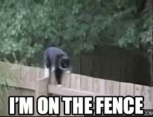 cat-im-on-the-fence.gif