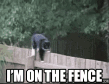 Im On The Fence GIF - Cat Im On The Fence Balancing GIFs