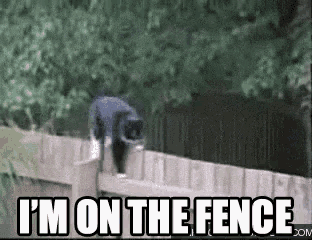 cat-im-on-the-fence.png