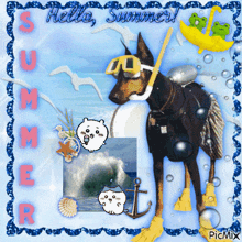 a picture of a dog wearing goggles and flippers with the words hello summer on the bottom