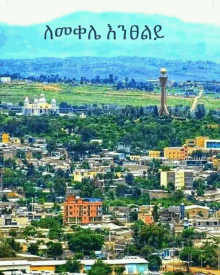 an aerial view of a city with mountains in the background and a tower in the middle of the city