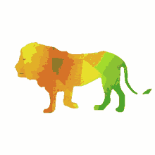 lion reggae
