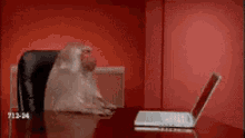 Laptop Fuck This GIF - Laptop Fuck This Done GIFs