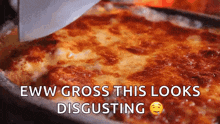 italianfood lasagna