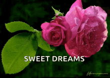 sweet dreams flowers sparkles