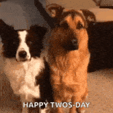 a border collie and a german shepherd are sitting next to each other on the floor .