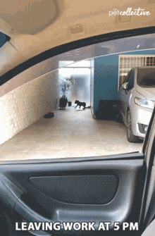 Leaving Work At Five Off Work GIF - Leaving Work At Five Off Work Dog GIFs