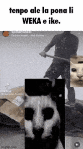 a collage of pictures of a man holding an axe and a cat with a mask on its face .