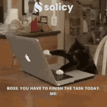 Solicy Task GIF - Solicy Task Working GIFs