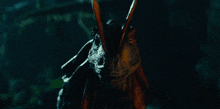 a close up of a dragon 's face with its mouth open .