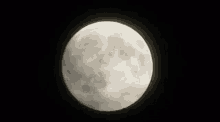 Moon Full Moon GIF - Moon Full Moon Shake GIFs