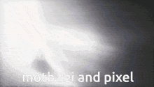 Moth Rei GIF - Moth Rei Pixel GIFs