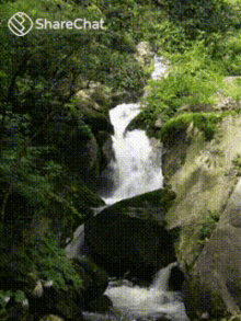 Falls River GIF