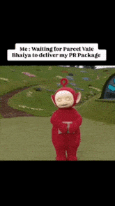 a cartoon character named teletubbies is standing in a field holding a letter t .