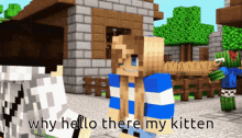 Minecraft Villager GIF - Minecraft Villager Why Hello There My Kitten GIFs