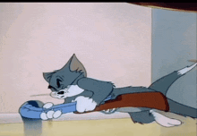 Tom Tom And Jerry GIF - Tom Tom And Jerry Rifle GIFs
