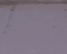 two ants shaking hands with a man in a suit