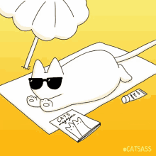 Catass Gato GIF - Catass Gato Playa GIFs