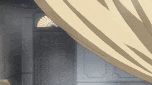 a door with a fan on it and a curtain hanging from it