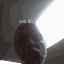 Sex82 Beanfungus GIF - Sex82 Beanfungus Beanspeaker GIFs