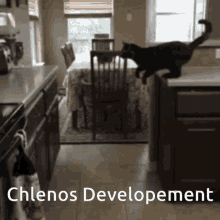 Chlenos Developement GIF - Chlenos Developement Chlenos Dev GIFs