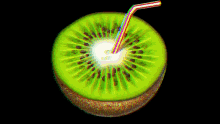 Kiwi GIF - Kiwi GIFs