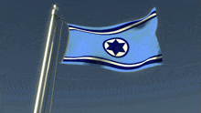 a blue flag with a star in the center