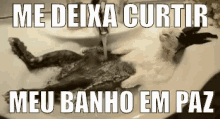 Curtindo Medeixacurtir Meubanho Empaz Coelhotomandobanho GIF