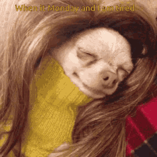 Mondays When It Monday And I Am Tired GIF - Mondays When It Monday And I Am Tired Exhausted GIFs